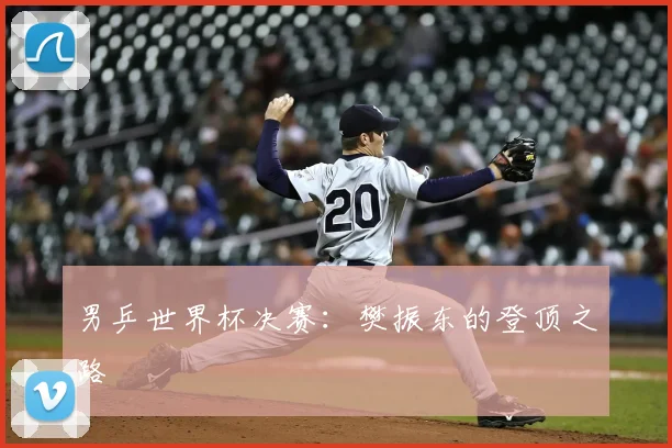 男乒世界杯决赛:樊振东的登顶之路