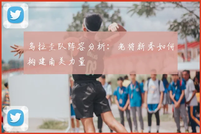 乌拉圭队阵容分析：老将新秀如何构建南美力量