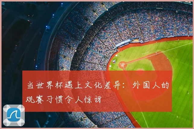 当世界杯遇上文化差异:外国人的观赛习惯令人惊讶
