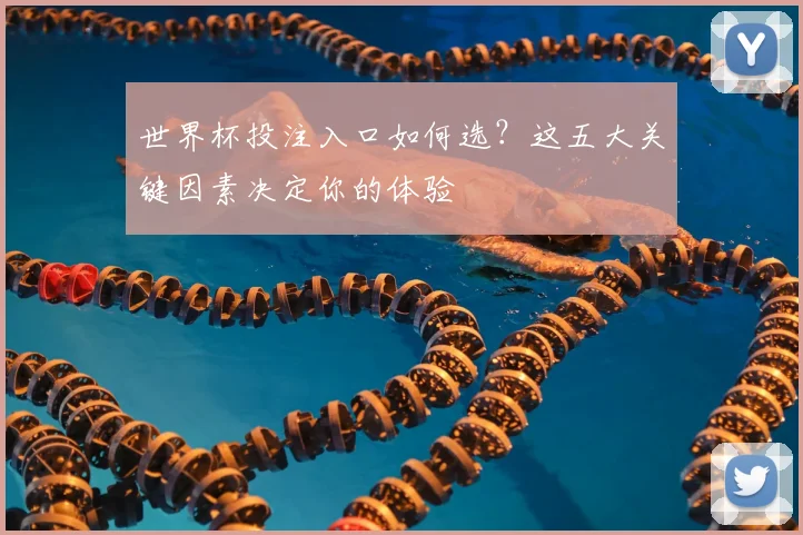 世界杯投注入口如何选?这五大关键因素决定你的体验