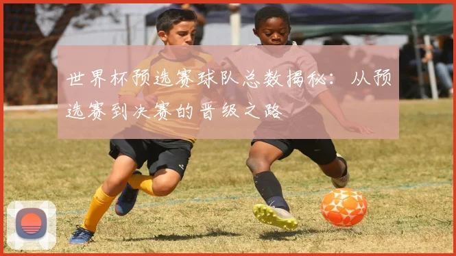 世界杯预选赛球队总数揭秘：从预选赛到决赛的晋级之路