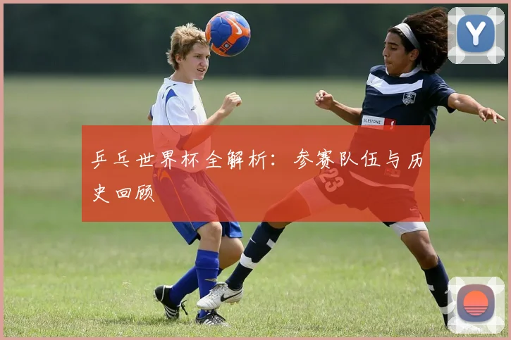 乒乓世界杯全解析:参赛队伍与历史回顾