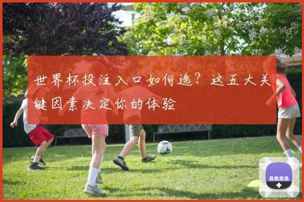 世界杯投注入口如何选？这五大关键因素决定你的体验