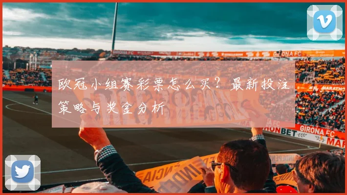 欧冠小组赛彩票怎么买？最新投注策略与奖金分析
