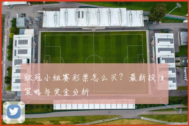欧冠小组赛彩票怎么买？最新投注策略与奖金分析